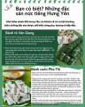 Bạn có biết: Những đặc sản nức tiếng Hưng Yên