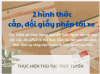 {infographic: 2 hình thức cấp, đổi giấy phép lái xe}