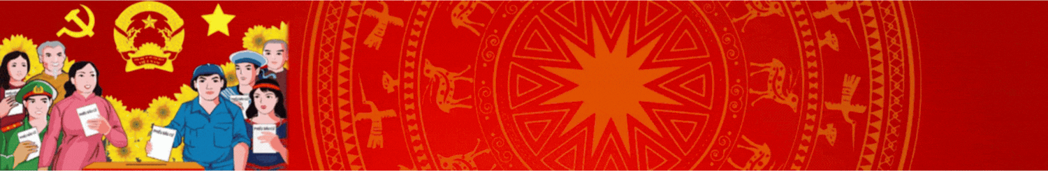 Bầu cử Đại biểu