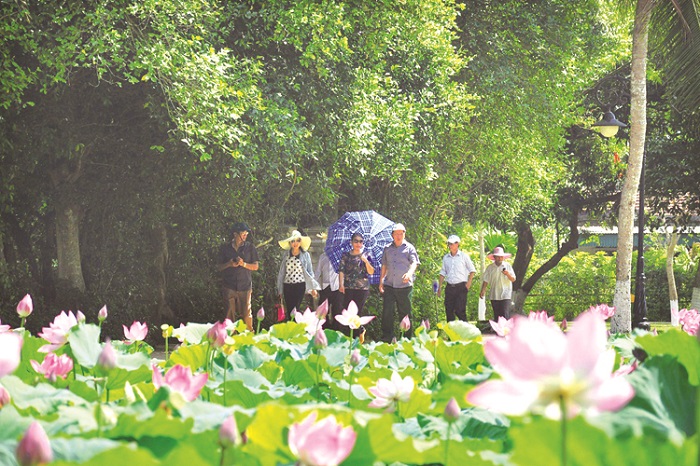huong sen diu nhe
