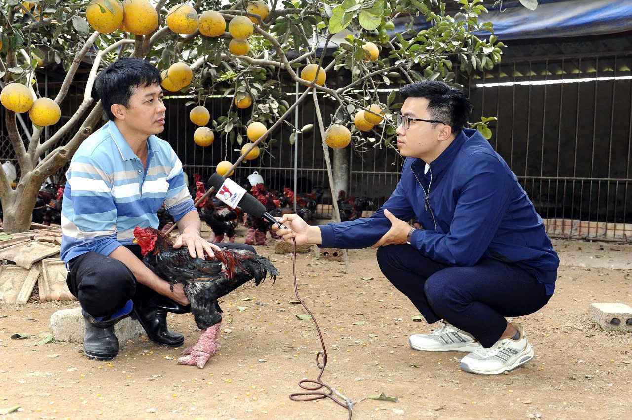anh dinh van nhieu truong thanh tu thuc tien