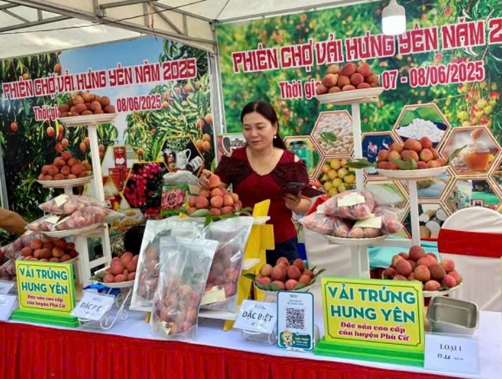 Hưng Yên tổ chức Phiên chợ vải 2025, quảng bá đặc sản vải trứng và vải lai chín sớm
