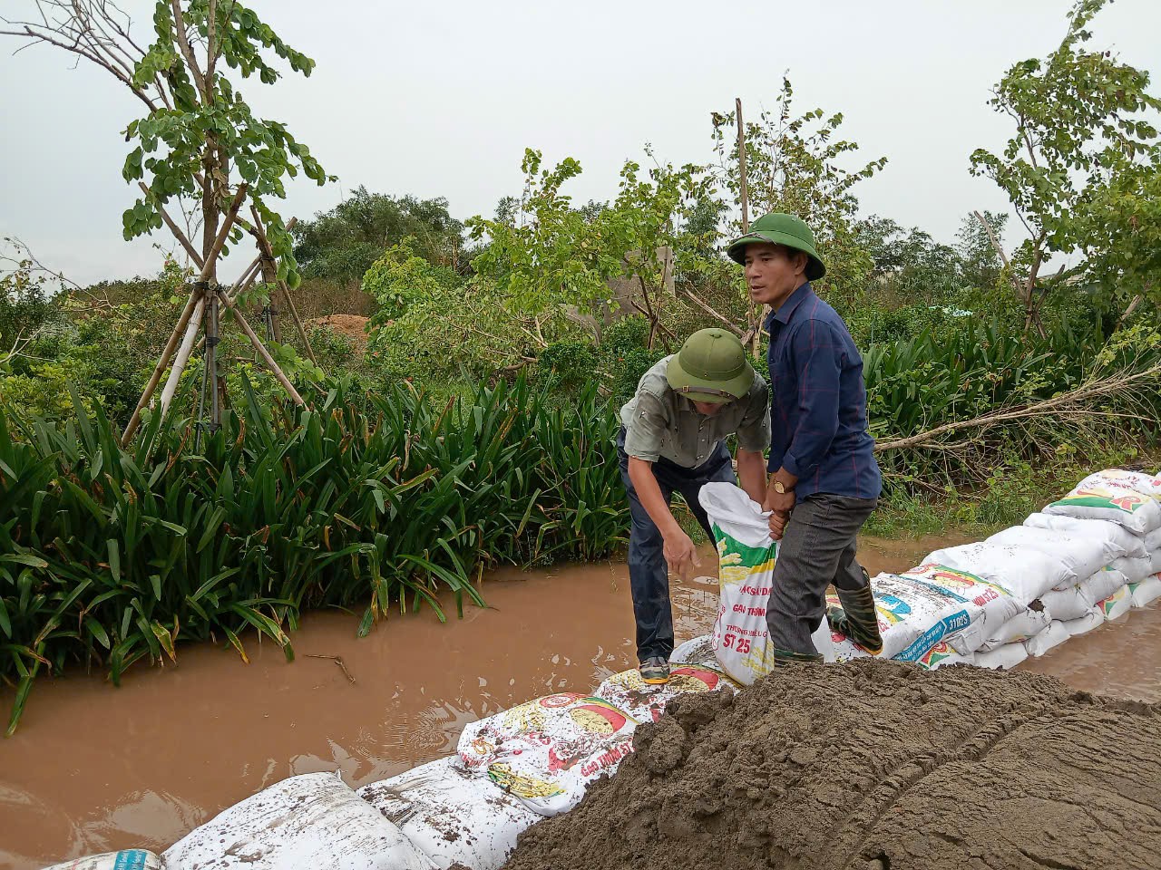 anh bai tac nghiep trong bao lu phong vien co so tham gia chong bao lu cung ba con