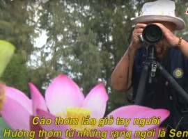 Phim tài liệu: "Trần Bích - Người kể chuyện Hồn Sen”