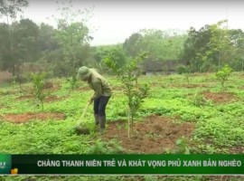Mời xem CT dự thi giải BCQG NĂM 2019,  Phóng sự: "Chàng thanh niên trẻ và khát vọng phủ xanh bản nghèo" của Hội Nhà báo tỉnh Thái Nguyên